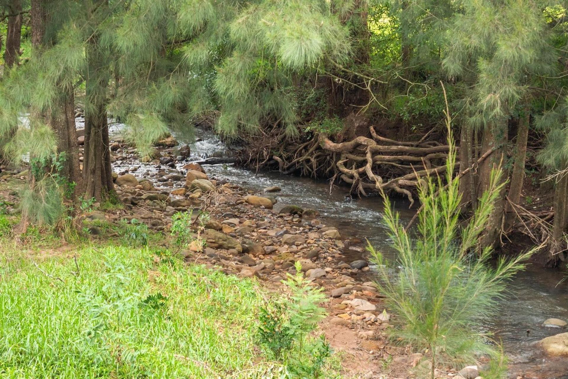 Cottage Comfort Kangaroo Valley Buitenkant foto